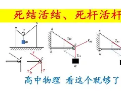 “血脉喷张:荒野追逐赛段中的生与死” “血脉喷张:荒野追逐赛段中的生与死”