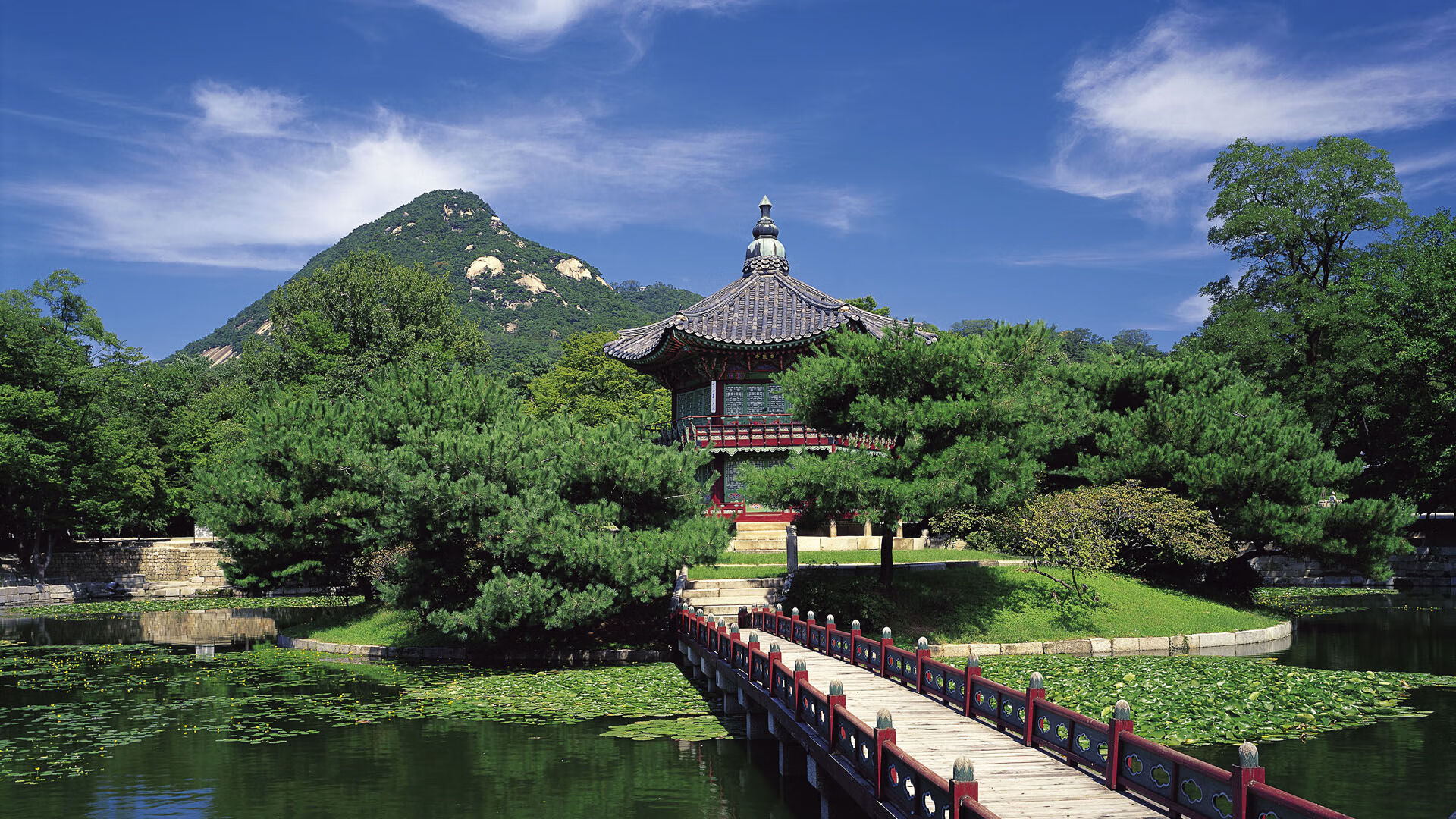 乐鱼登陆网站-猛龙客场连败，球队士气降至冰点，猛龙晋级