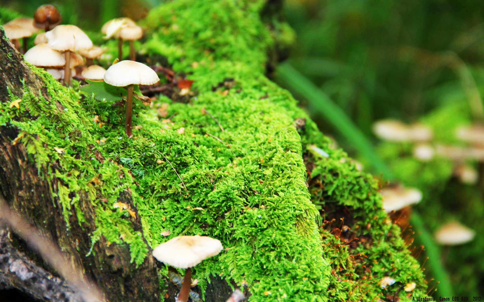 篮球青训投入与产出比,篮球青训队训练计划