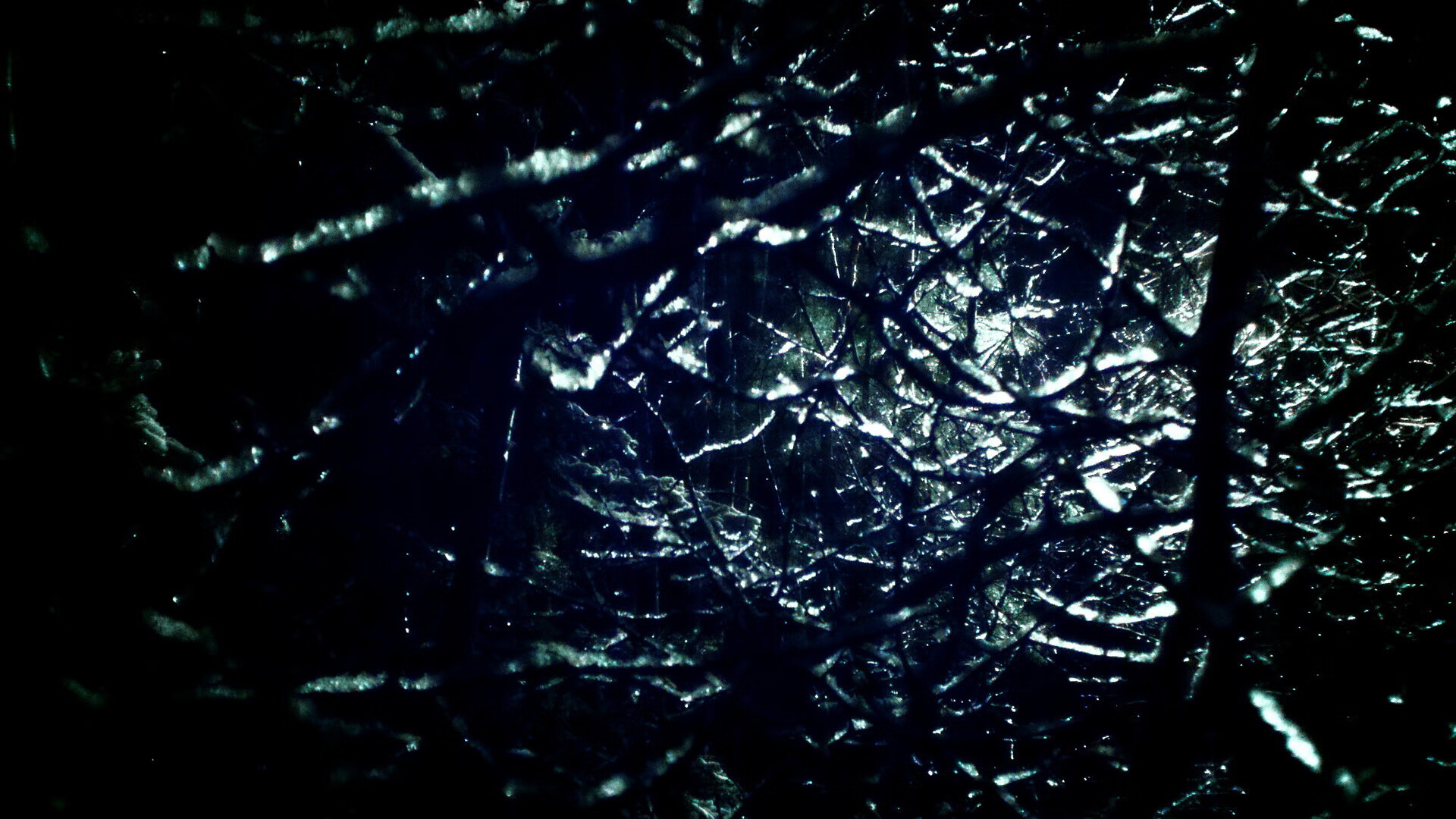 里昂主场连胜告终,失去领先优势,里昂连冠