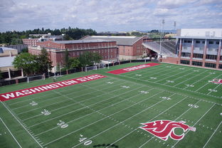 leyucom官网登录入口-法甲青训团队融合自我对话训练提升心理韧性，法甲青训最好的球队