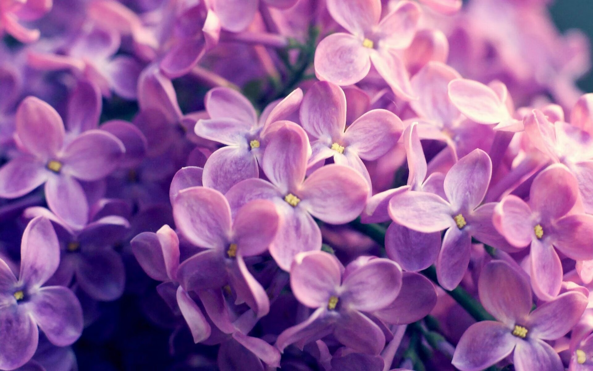 中国足球战平世界杯预选赛 历史回顾引共鸣,中国足球队世界杯预选赛比赛时间