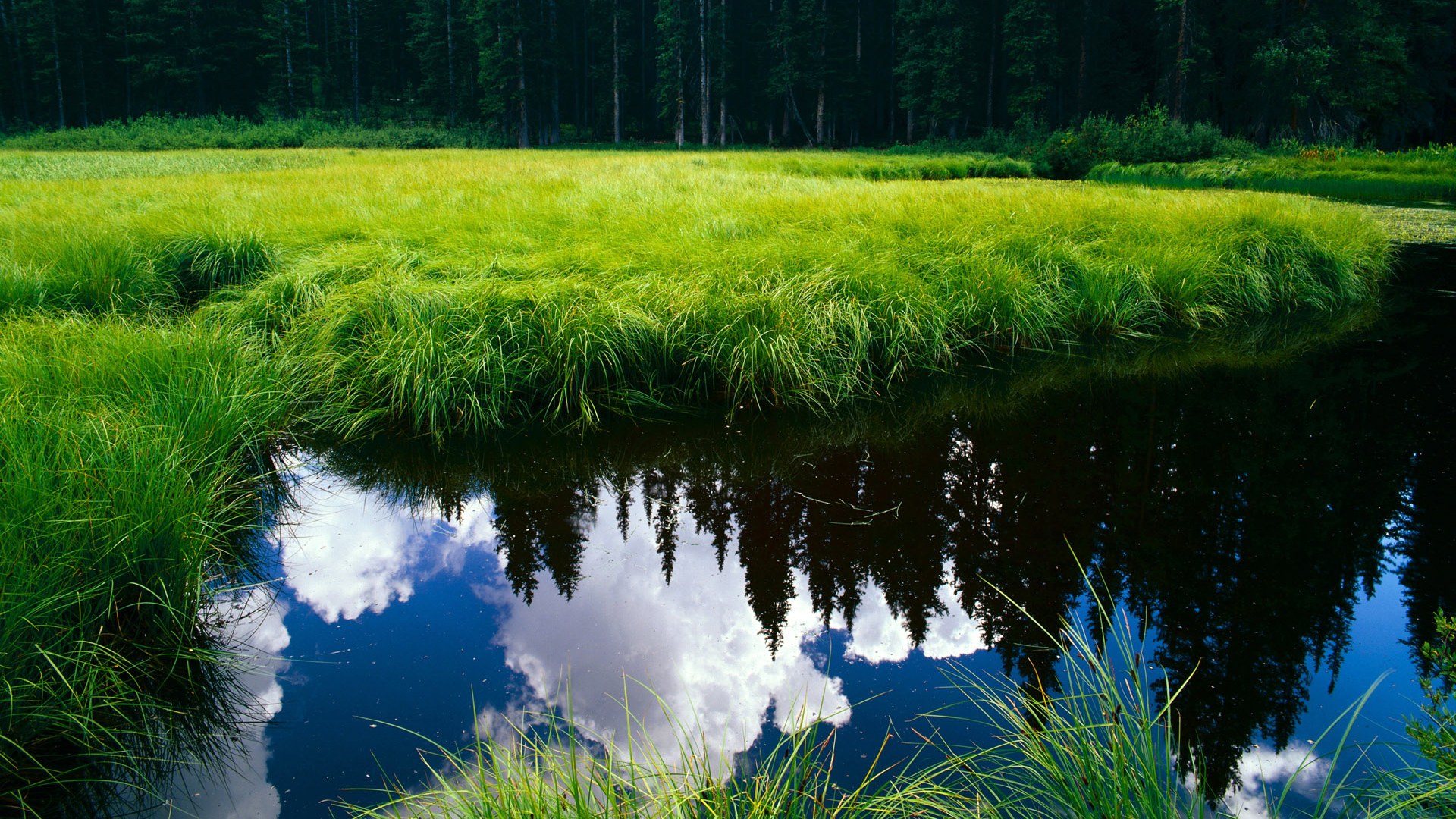 乐鱼体育官方网站最新登录入口-埃及队未来发展：如何在世界乒乓赛场上占据一席之地，埃及的乒乓球