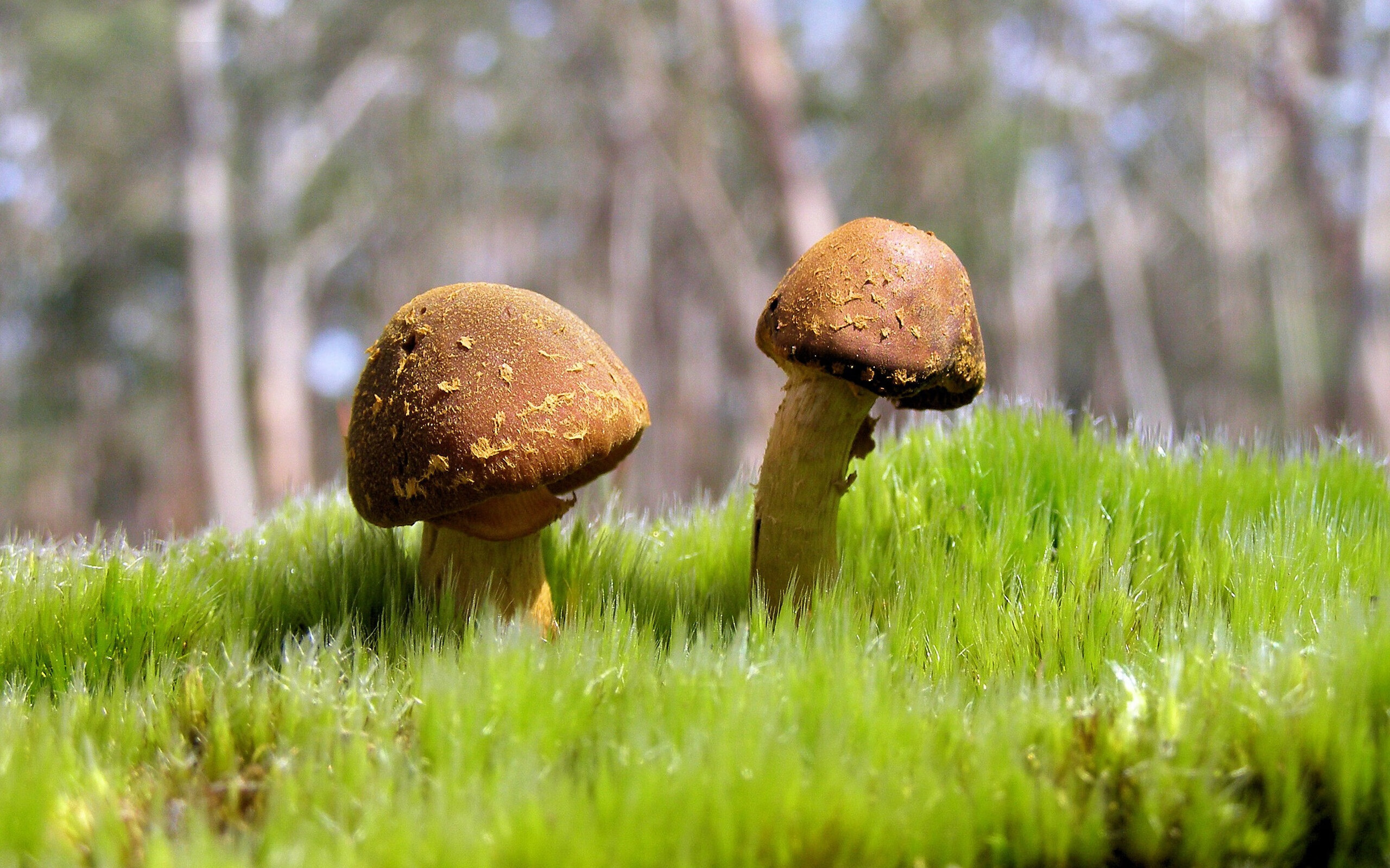 节奏与空间是否为现代篮球最重要的变量,节奏空间模型