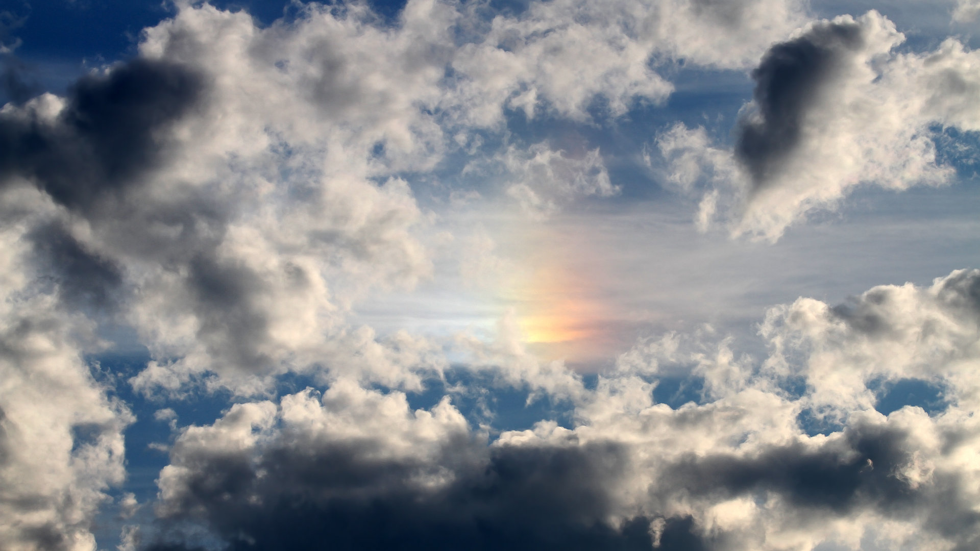 乐鱼体育入口-阿尔及利亚男篮在非洲预赛中持续奋战，争夺奥运席位，阿尔及利亚足球